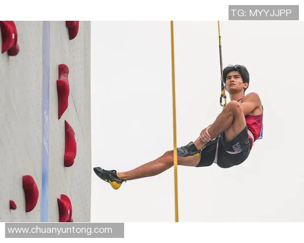 成都攀岩队协作精神探讨与训练方法分析