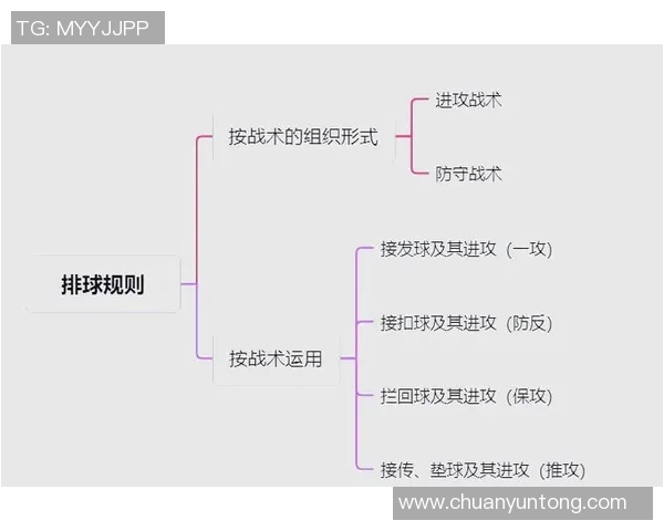 武汉排球队中路突破战术解析与实战应用探讨